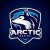 Arctic Gaming