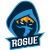 Rogue Academy